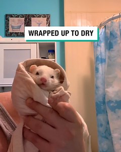 They love their little bath 🥺😍 | GOODLAD