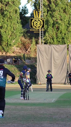 Exciting Cricket Moments for True Fans