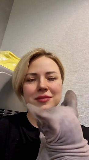 Caring for a Sphynx Cat: Tips and Insights