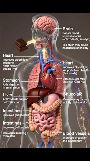 chocolate can actually help your brain and heart.