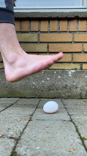 🦶Mashed - Egg 🥚 #footmashed #tiktok #egg #food #asmr #satisfying #satisfyingvideo #nicetowatch #goodfeeling #feast #haha #mashed #fail #funny #laugh #shorts #foot #destroyed #fun #youtube