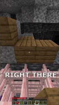 Minecraft, but the chunks are RANDOM 3 #minecraft