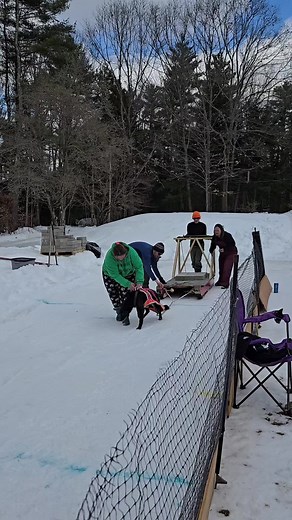 2025 competing with my dogs has had some highs and some lows. Love them 💕