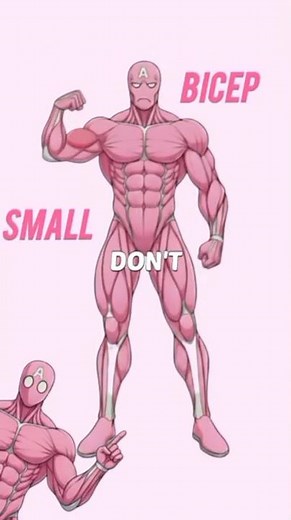 Small Biceps? Try These 3 Killer Home workout!