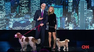 Anderson Cooper and Kelly Ripa brought their own dogs out on stage to honor CNN Hero Staci Alonso and her work helping domestic violence survivors leave dangerous situation with their pets. Get involved: CNNHeroes.com. | CNN Heroes