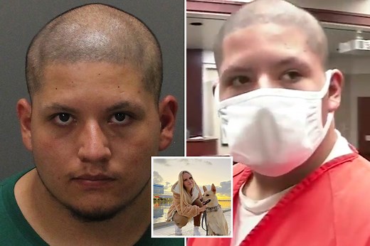 Moment desperate dad of 'Purge' shooting victim screams at suspect in court