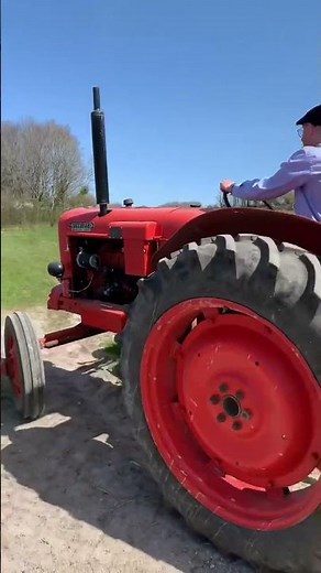 Restored 1957 Nuffield Universal Four 🚜 #vintage #vintagetractors #tractors #agrishorts #shortvideo