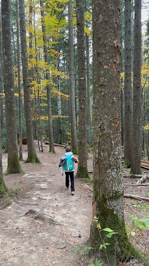 Parcul Național Ceahlău! Visit Brasov Romania 🇷🇴 #muntiinostri #ceahlau #travel #explore #carpathians #carpati #mountain #padure #forest | Visit Brasov Romania