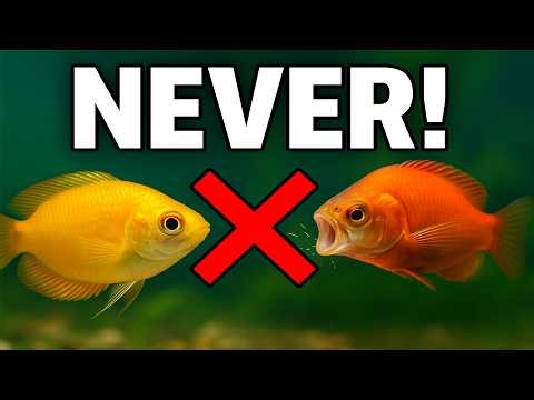 7 Awful Fish You will Regret Buying...