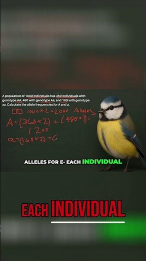 Recessive Allele Explained: Simple Guide to Inheritance