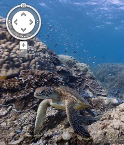 Reef View: Google Gives Us Stunning Underwater Shots of Great Coral Reefs