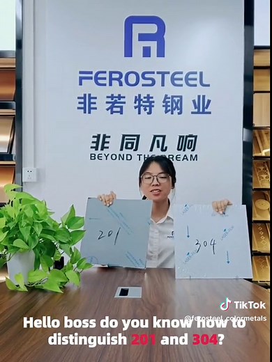 Ferosteel stainless steel on TikTok