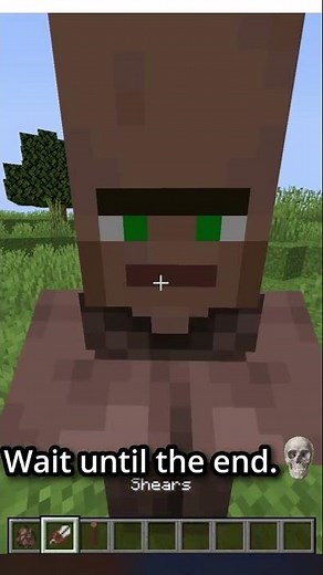 I got rid of that villager's nose! #minecraft