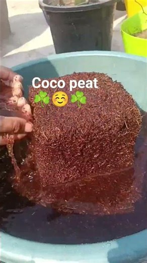 Coco peat ☘️☘️ #nature