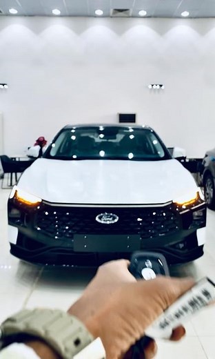 New FORD TAURUS Trend / GOOD interior and exterior (2025)