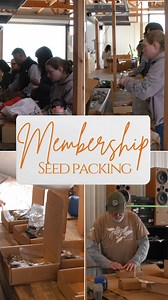 This Wednesday, the Meadowview Research Farms team partnered with the Asheville-based Development team to pack and ship seeds for distribution to our members! Seed level members receive open-pollinated seed from mother trees that are chosen through our Recurrent Genomic Selection process. This ongoing initiative helps distribute high-quality seeds nationwide, supporting germplasm conservation, and is one of the ways the public can get chestnut seeds from TACF! If you are interested in receiving 
