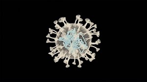 Mutaciones genéticas en el SARS-CoV-2: ¿qué son y cómo influyen en la vacuna?