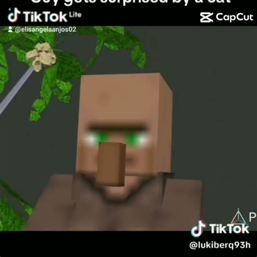 villager minecraft vs tom talking glitch