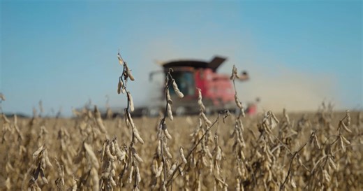 More American farmers are filing for bankruptcy. Here’s why