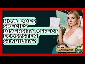 How Does Species Diversity Affect Ecosystem Stability? - Explaining Ecology