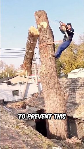 Chainsaw Kickback Explained