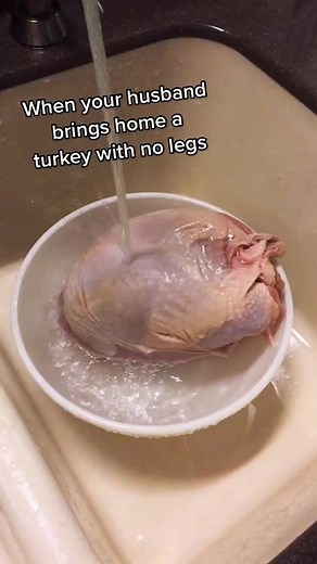 Turkey Humor: Trying Out Sea Legs | Thanksgiving Comedy