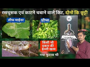 How to control Thrips, Caterpillars, and Leaf Miner with Single Product | Shinwa IIL | Fluxametamide