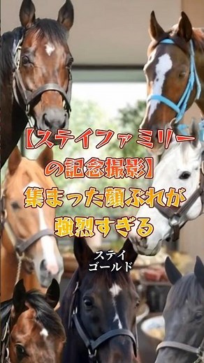 【ステイファミリーの記念撮影】集まった顔ぶれが強烈すぎる