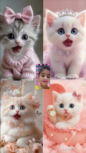 Cute Adorable cats singing APT😺😍 #rosé #brunomars #apt #kpopedit #cats #dance #ai #kpop #ytshorts