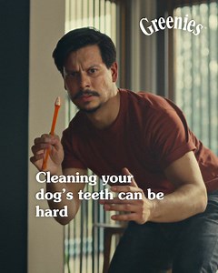Doggy dental care made easy. | Greenies