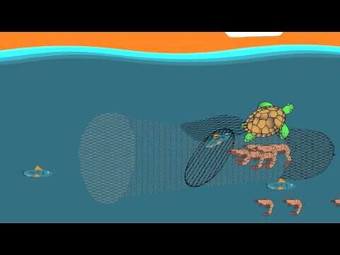 Turtle excluder device