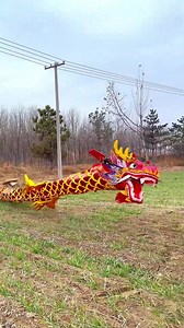 14K views · 80 reactions | Awesome! This "dragon" is soaring into the sky. How is it done?類 #drone | Hola Fujian | Facebook