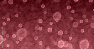 Zoom, bacteria and science microscope in lab research in virus for medicine, vaccine and covid study. Medical, dna and laboratory cell analytics in doctor, scientist or pharmacist technology