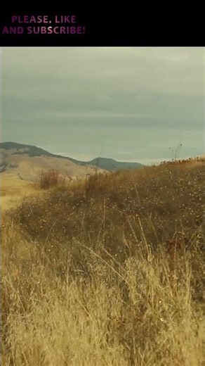 #clip HRT - Cosens Bay- Coldstream BC Canada #hiking #scenery #hikingadventure #nature #shorts