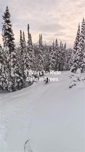 1. Ride with friends and keep an eye on them 2. Know where the trees lead to 3. Be aware of tree wells 4. Ride at a comfortable speed 5. Stay away from creek beds @clew snowboarding @Outdoormaster #snowboarding