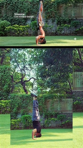 1 Minute Mein Sirsasana Explained🔥#shirshasana #yoga #yogalife #shorts #reels #fyp #fitness #vira🔥l