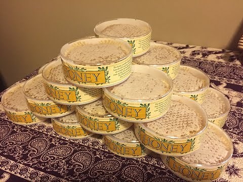 Bees in a Minute #5: Ross Rounds Pros and Cons