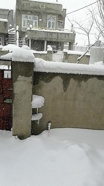 Charming Snowy Residential Scene in Winter