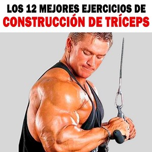 95K views · 3.4K reactions | Los 12 mejores ejercicios de construcción de tríceps | Sangredespartano | Facebook