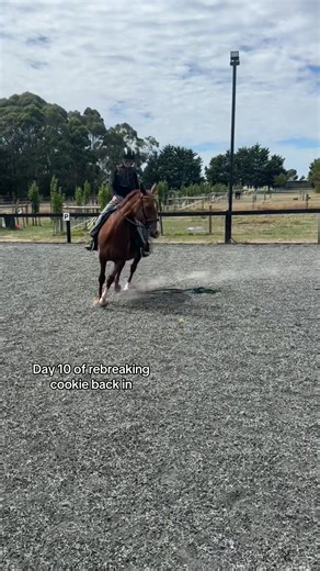 Transforming Rider Confidence with Cookie: Day 10