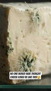 You won't believe it 😱 dare to look !!!!!