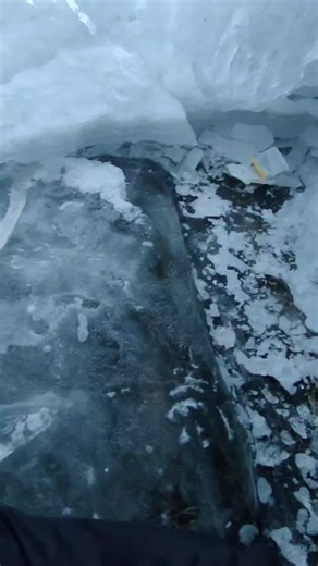 Александр on TikTok