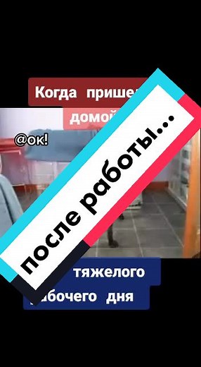 Black Labrador Showcases Tricks with Blue Blanket