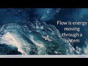 Flow essentials for Lean management