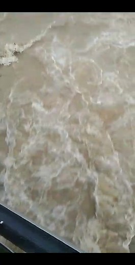 Jenel Torres on Reels