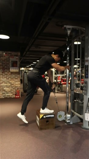 Contralateral Cable Step-Up 對側繩索登階 『臀大肌』