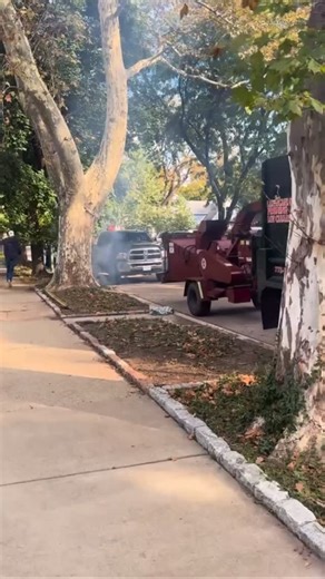 Just minutes before a kids costume parade in Chicago’s Old Irving Park, ICE agents moved in on a landscaper and deployed tear gas in a quiet residential neighborhood. A woman on a bike and a 70 year old man were also detained. Children preparing for the parade were caught in the gas. American kids breathing in a chemical weapon used as a crowd control tactic. This is not border enforcement. This is community trauma. ICE’s conduct must be investigated and stopped. | Ashley Salazar