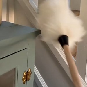 Made from the finest Australian Lambswool, it not only attracts and picks up dust but polishes surfaces as it goes. Perfect for those intricate spaces and treasured items. Let our duster’s gentle fingers take care of your home.#fullerbrushman #FallFeels #CleanAndCozy ✨ #DustWithDelicacy #NatureMeetsNurture #HouseOfFullerMagic #fullerbrushman | The Fuller Brush Company