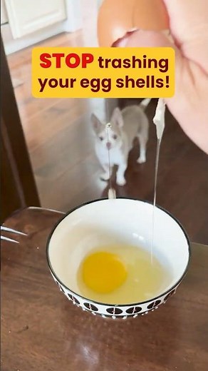 This Eggshell Hack Will Supercharge Your Dog’s Meals 🐾🥚