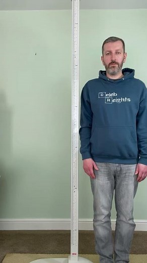 How Tall is Dave Bautista?